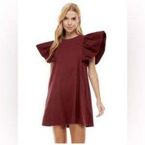 NWT TCEC Knit Dress with Poplin Ruffle Sleeve